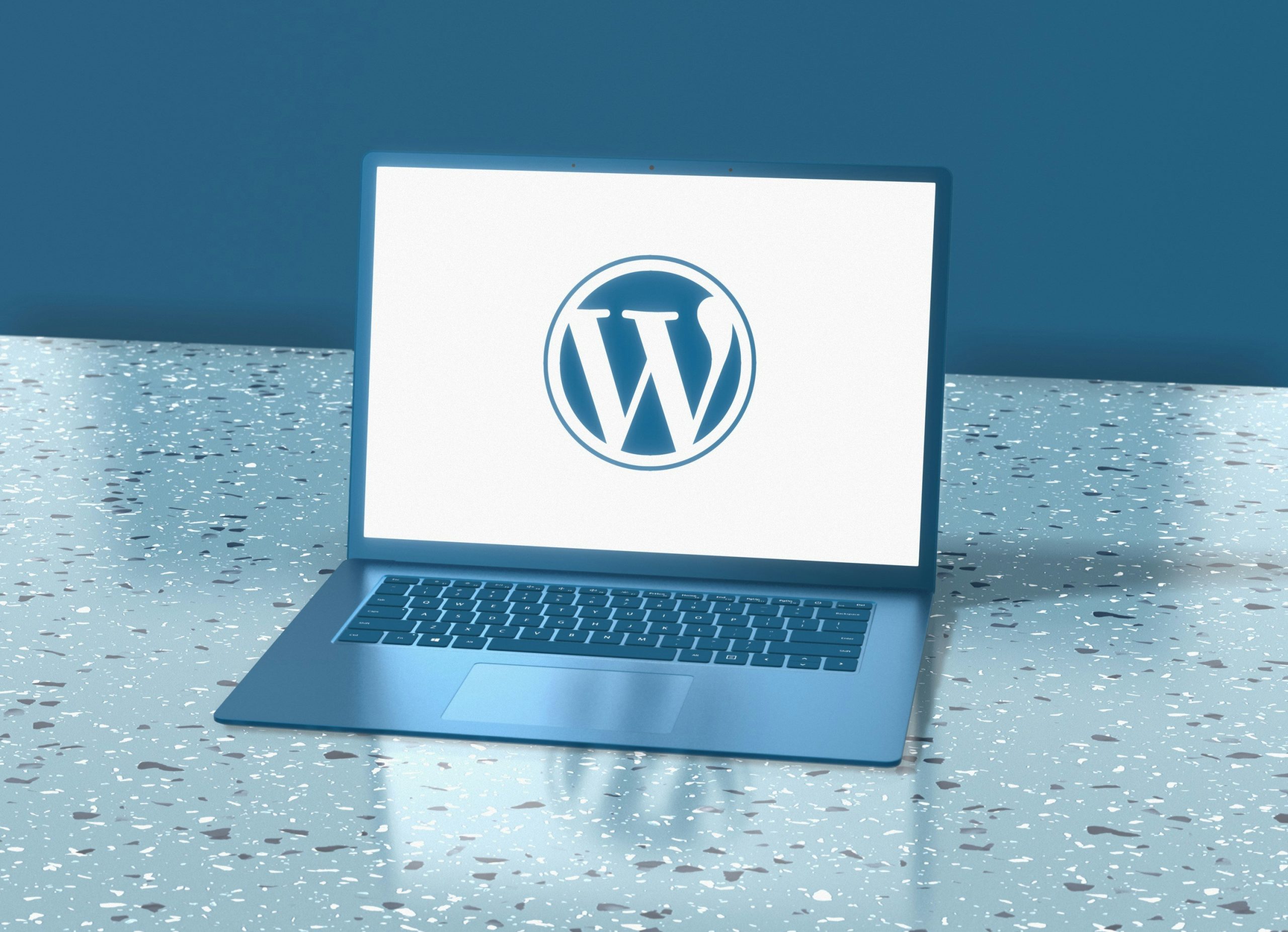 WordPress, entretien de vos sites WordPress et optimisation pour le SEO par Adèle Dewitte, rédactrice web SEO